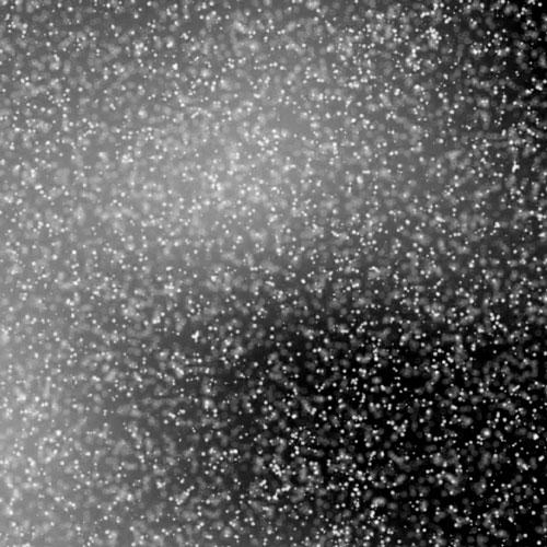 image displacements